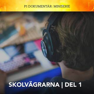 P1 Dokumentär