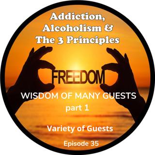 Ep. 35-Wisdom of Many Guests-part 1