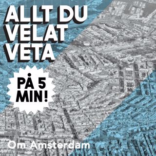 Allt du velat veta