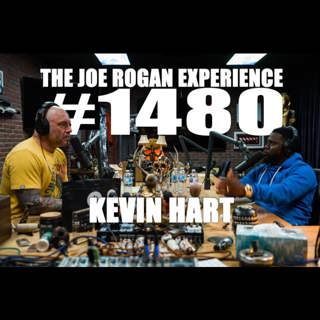 The Joe Rogan Experience