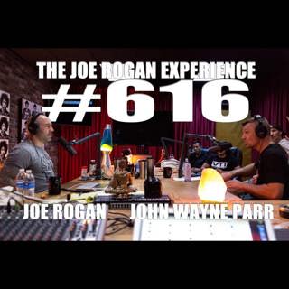 The Joe Rogan Experience