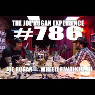 The Joe Rogan Experience