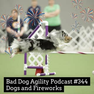 Bad Dog Agility Podcast