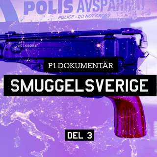 P1 Dokumentär