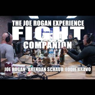 Fight Companion - November 10, 2018