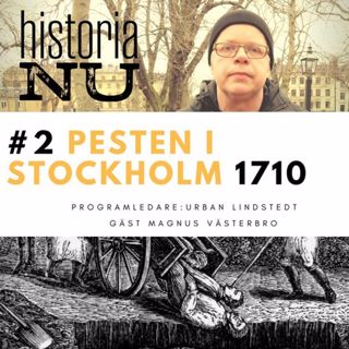 Pesten i Stockholm tog 22 000 stockholmares liv