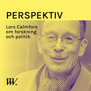 Perspektiv - med Per Grankvist