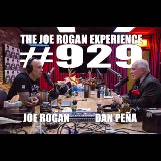 The Joe Rogan Experience