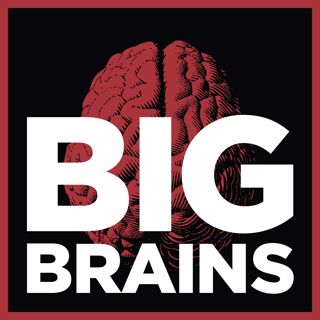 Big Brains Trailer