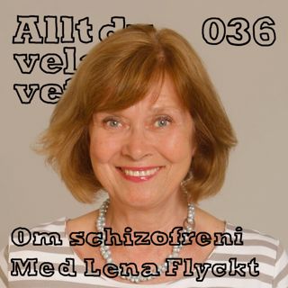 Allt du velat veta