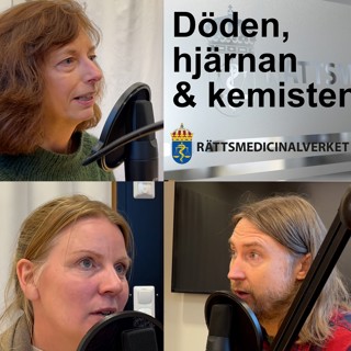 Döden hjärnan & kemisten