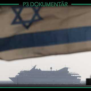 Ship to Gaza och dramat på Medelhavet