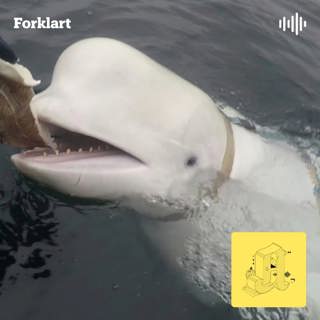 Forklart