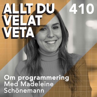 Allt du velat veta