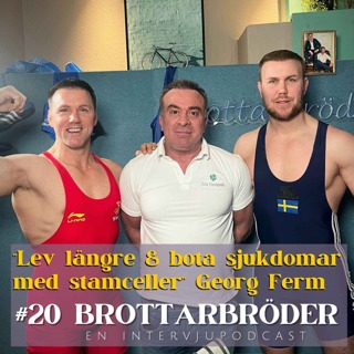 Brottarbröder