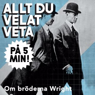 Allt du velat veta