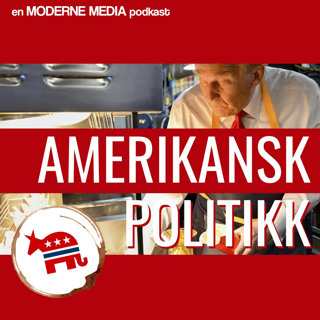 Amerikansk politikk