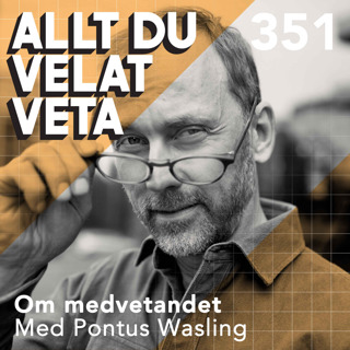 Allt du velat veta