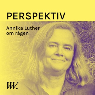 Perspektiv - med Per Grankvist