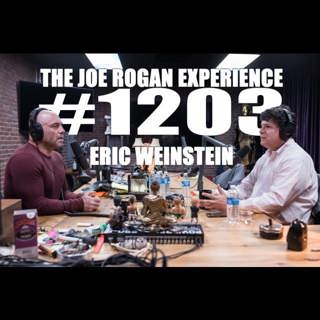 #1203 - Eric Weinstein