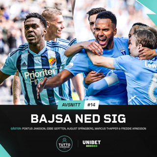 #14 BAJSA NED SIG