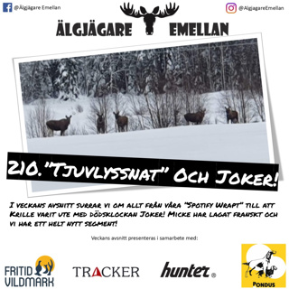 Älgjägare emellan