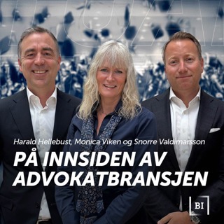 På innsiden av advokatbransjen