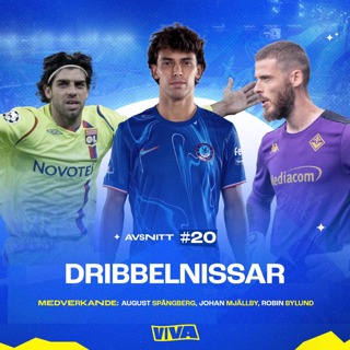 #20 - Dribbelnissar