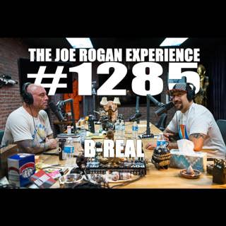 The Joe Rogan Experience