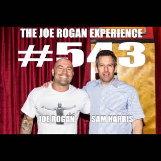 The Joe Rogan Experience