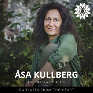 Dearmoring frees or liberates life-force energy in the soul - Åsa Kullberg