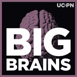 Big Brains
