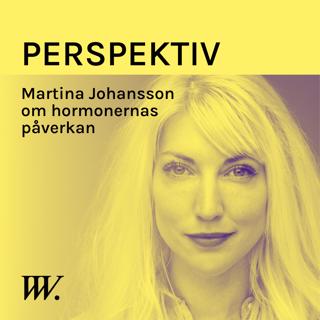 Perspektiv - med Per Grankvist