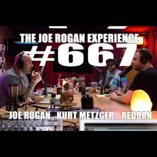 The Joe Rogan Experience