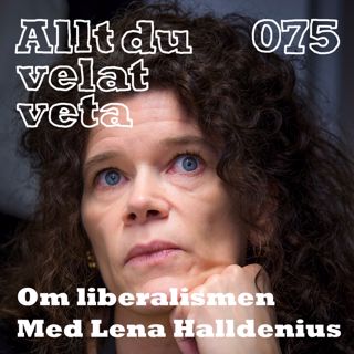 Allt du velat veta