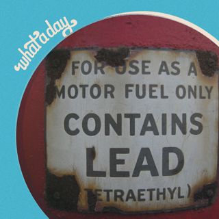 How We Got Here: How Lead Poisoning Rewired America