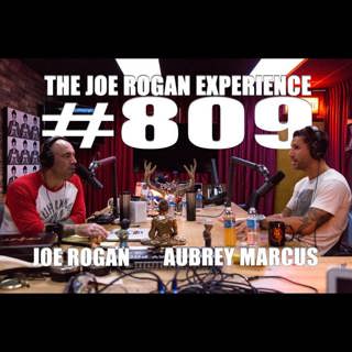 The Joe Rogan Experience