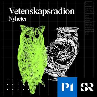 Vetenskapsradion Nyheter