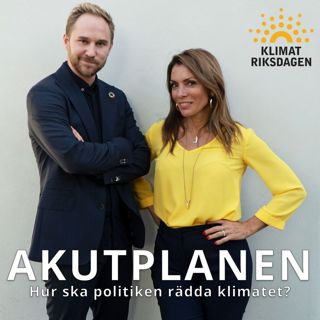 Akutplanen - Sverigedemokraterna