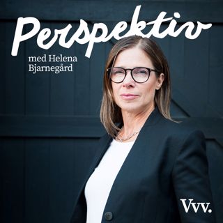 Perspektiv - med Per Grankvist