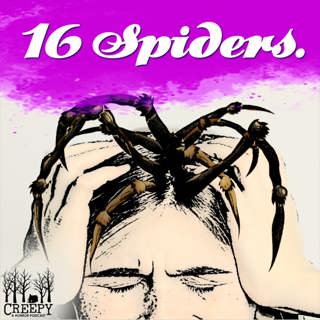 16 Spiders