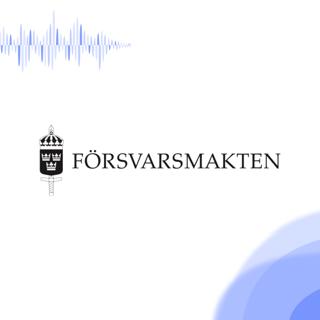 FMTIS • En teknikers väg till Försvarsmakten och FMTIS