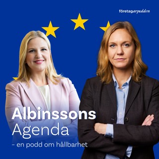 Albinssons Agenda del 5: Så fungerar i EU i praktiken
