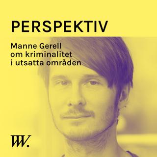 Perspektiv - med Per Grankvist