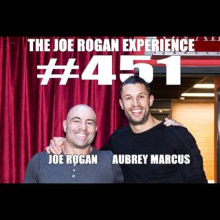 The Joe Rogan Experience