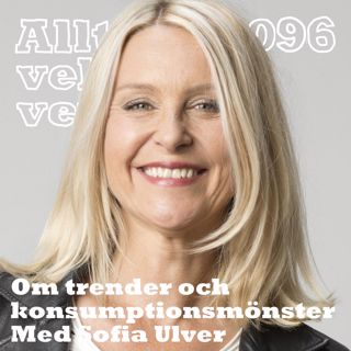 Allt du velat veta