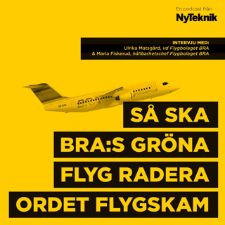 #66 - Ulrika Matsgård,vd Flygbolaget BRA och hållbarhetschefen Maria Fiskerud om framtiden för inrikesflyget, radering av ordet flygskam och konsten att locka fler att välja gröna flygningar.  
