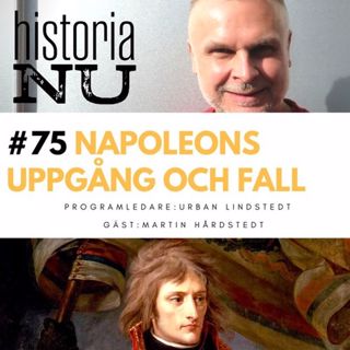 Napoleons uppgång och fall i det revolutionära Frankrike