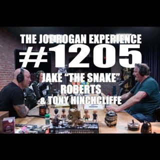 The Joe Rogan Experience