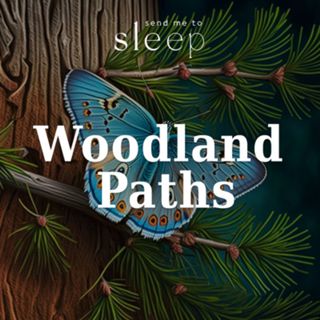 Woodland Paths: Butterflies and April Showers (Voice Only)